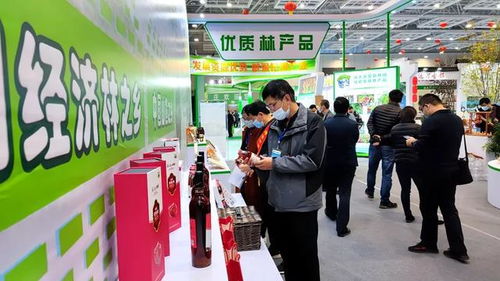 我市積極組織參加第十七屆中國(guó)林產(chǎn)品交易會(huì) 喜獲金銀獎(jiǎng)21項(xiàng)